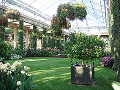 415 Longwood Gardens [2008 August 23]